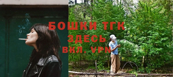 первитин Богданович