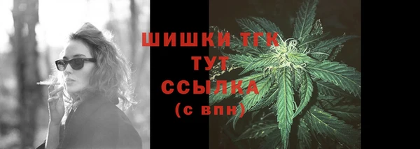 первитин Богданович