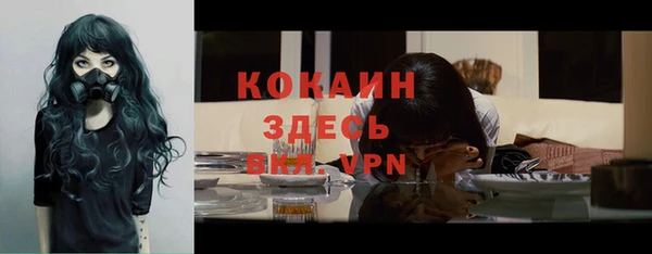 первитин Богданович