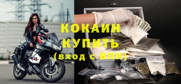 первитин Богданович