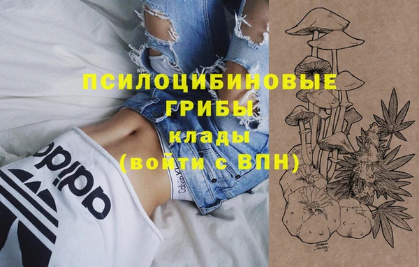 первитин Богданович