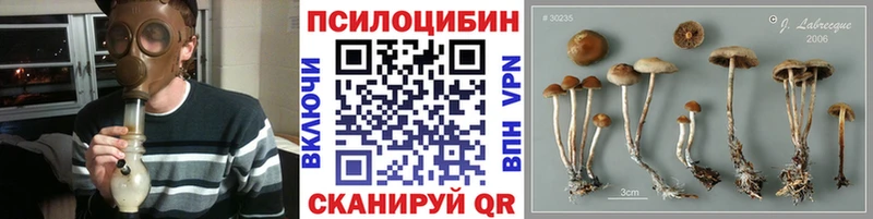 Купить  Светлогорск  Псилоцибиновые грибы прущие грибы 