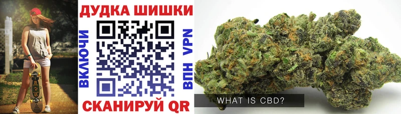 Купить  Светлогорск  Марихуана ГИДРОПОН 